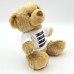 Teddy Bear in a T-Shirt – Class 58 UK Liveries Edition